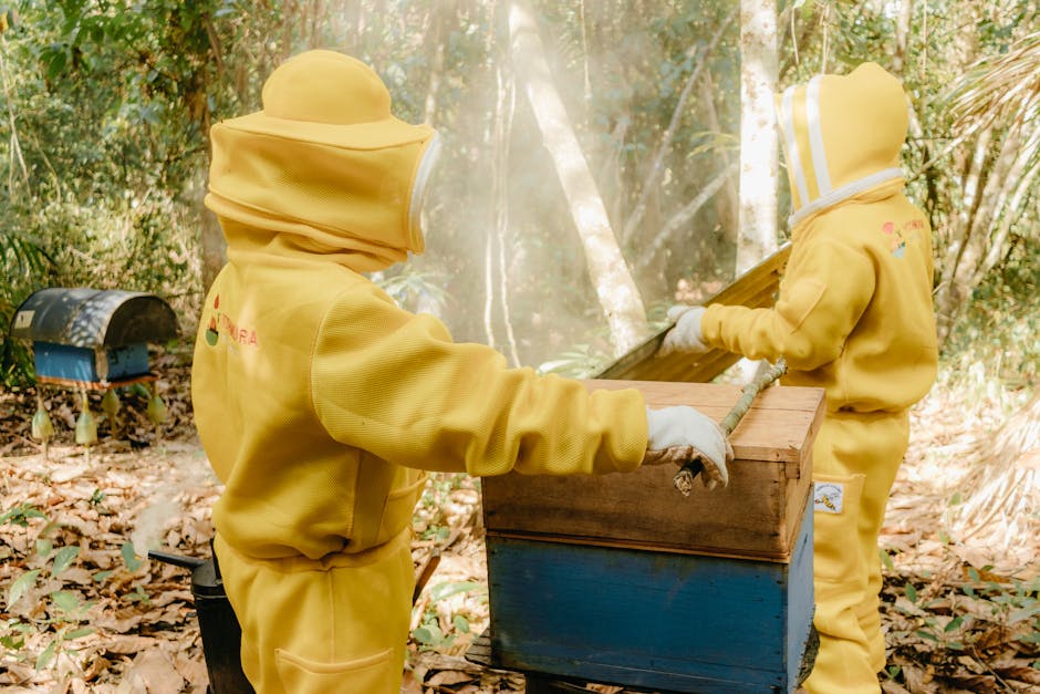Apicultoras em trajes de proteção cuidando de colmeias em área de floresta